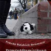 Promenadenmischung